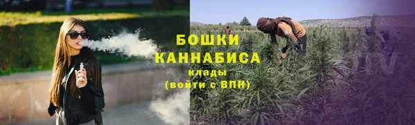 винт Белокуриха
