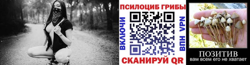 MEGA как зайти  Киров  Галлюциногенные грибы мухоморы 